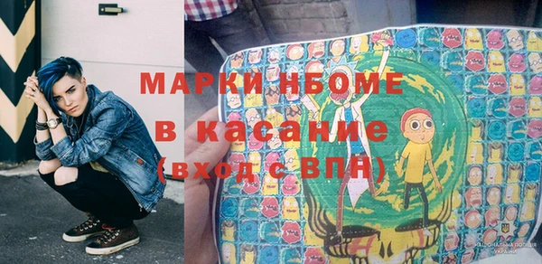 шишки Богородицк